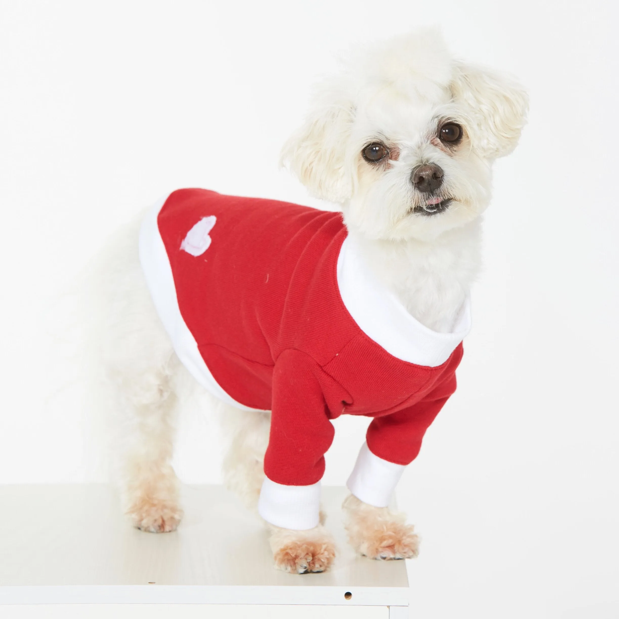 Pawesome Arm Candy | Cherry Red Doggie Sweatshirt